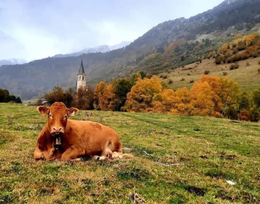 Mcastet, Casita Aranesa En El Valle De Aran Bossost Exterior photo